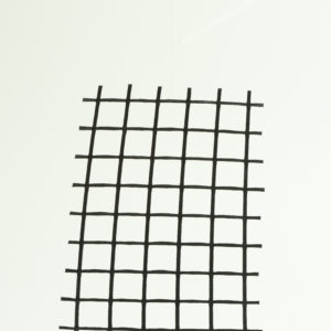 Geogriglia di rinforzo per terre rinforzate Pavirock TPV 55/20