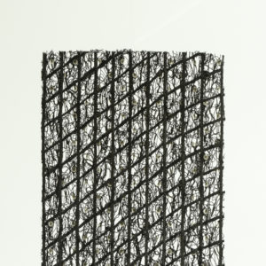 Geostuoia grimpante rinforzata MEGAMAT 20R20