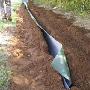 Dupont Root barrier
