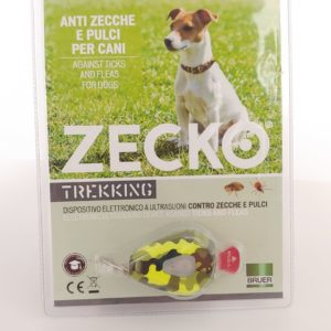 Zecko Dog